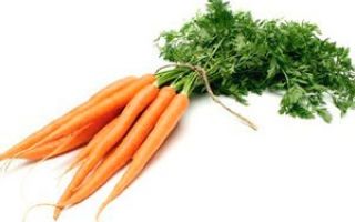 Польза и вред моркови